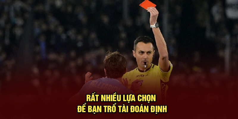 Rất nhiều lựa chọn để bạn trổ tài đoán định