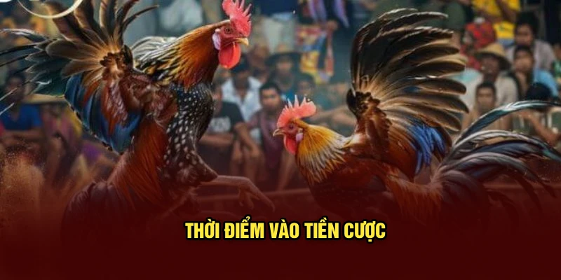 Thời điểm vào tiền cược